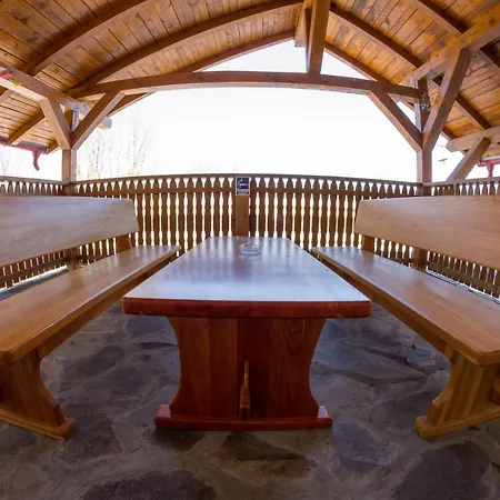 Guest house Pensiunea Aron 2