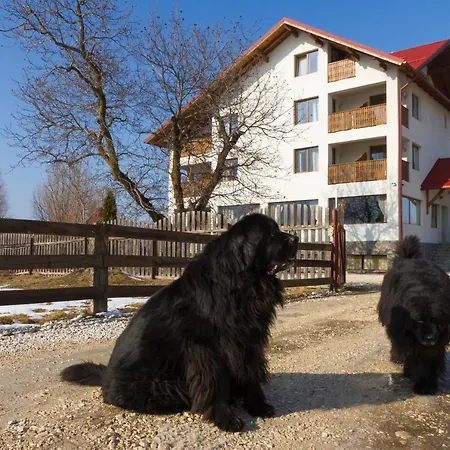 Pensiunea Aron 2 Guest house Bran (Brasov)