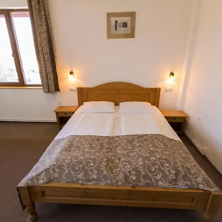 Guest house Pensiunea Aron 2