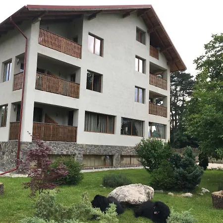 Pensiunea Aron 2